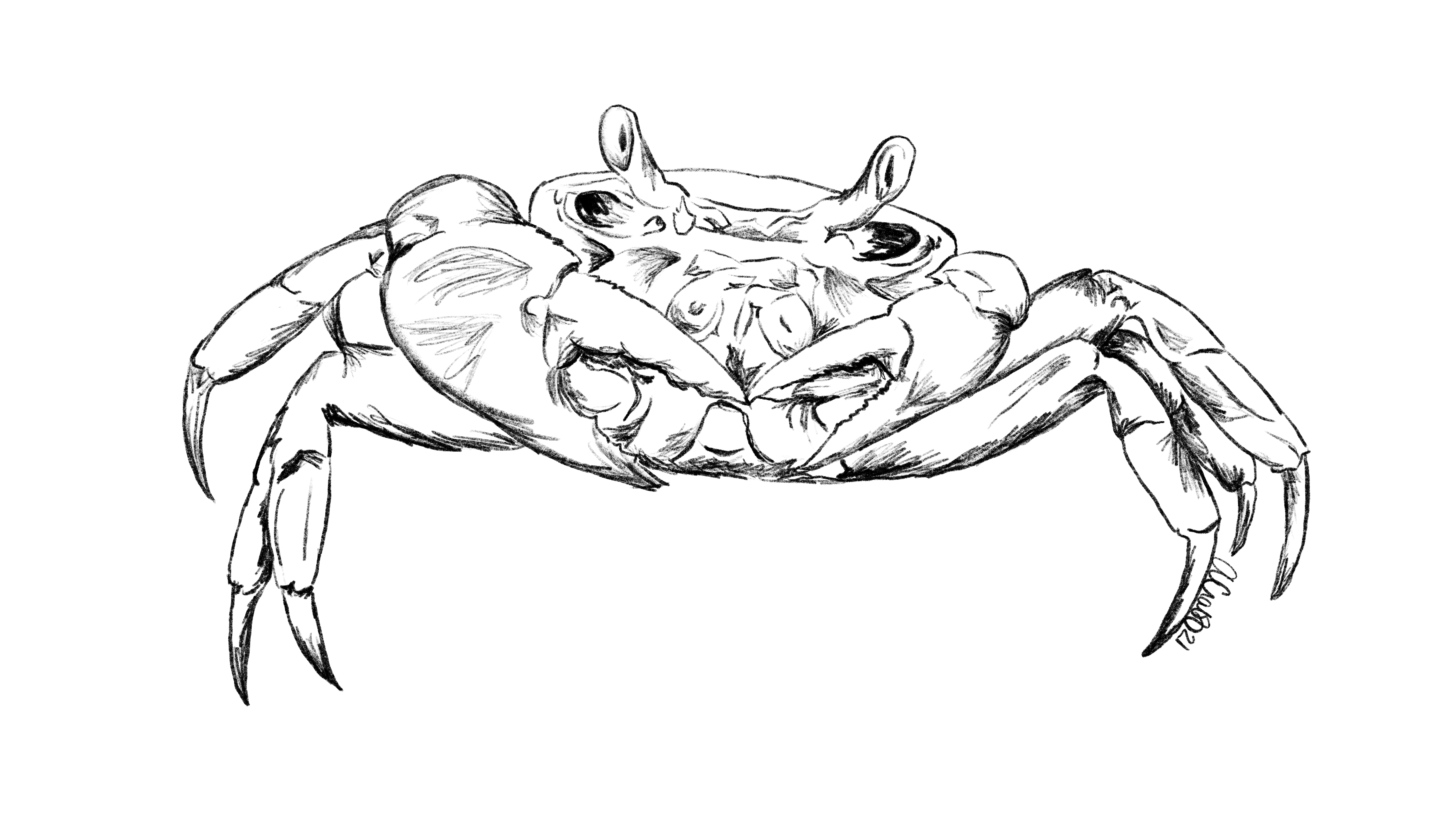 Allee Crabb Logo